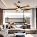 Ceiling Fan With Light