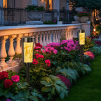 Outdoor Solar Lights