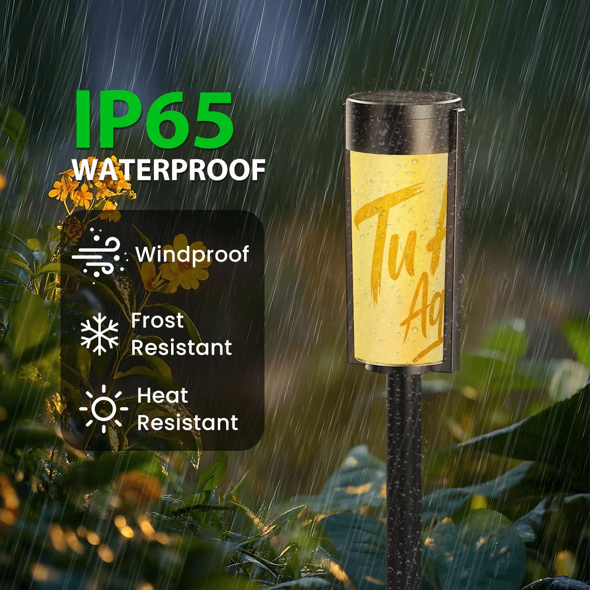 Outdoor Solar Lights