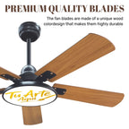 Ceiling Fan With Light