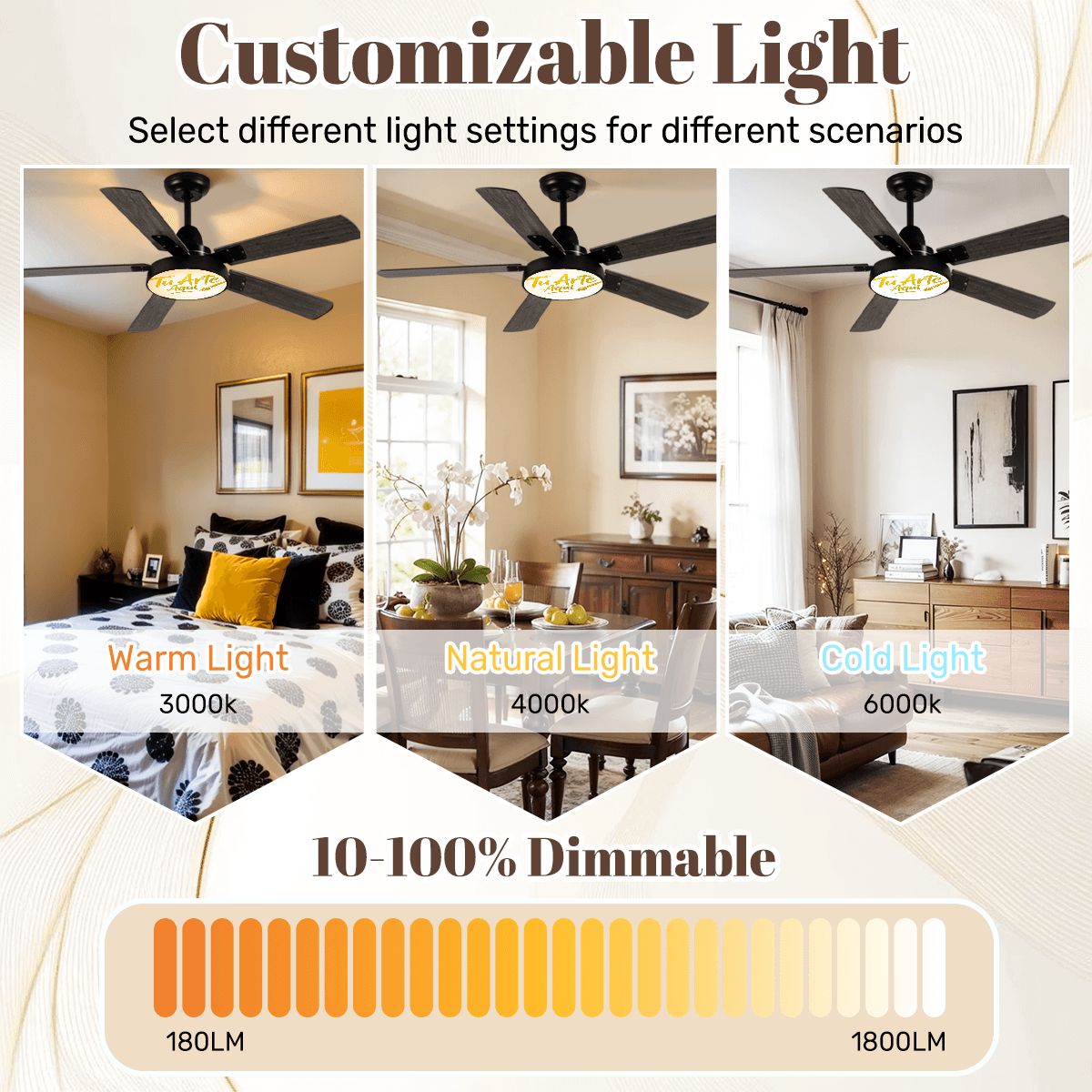 Ceiling Fan With Light