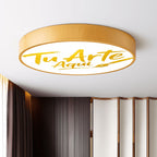 Flush Mount Ceiling Light