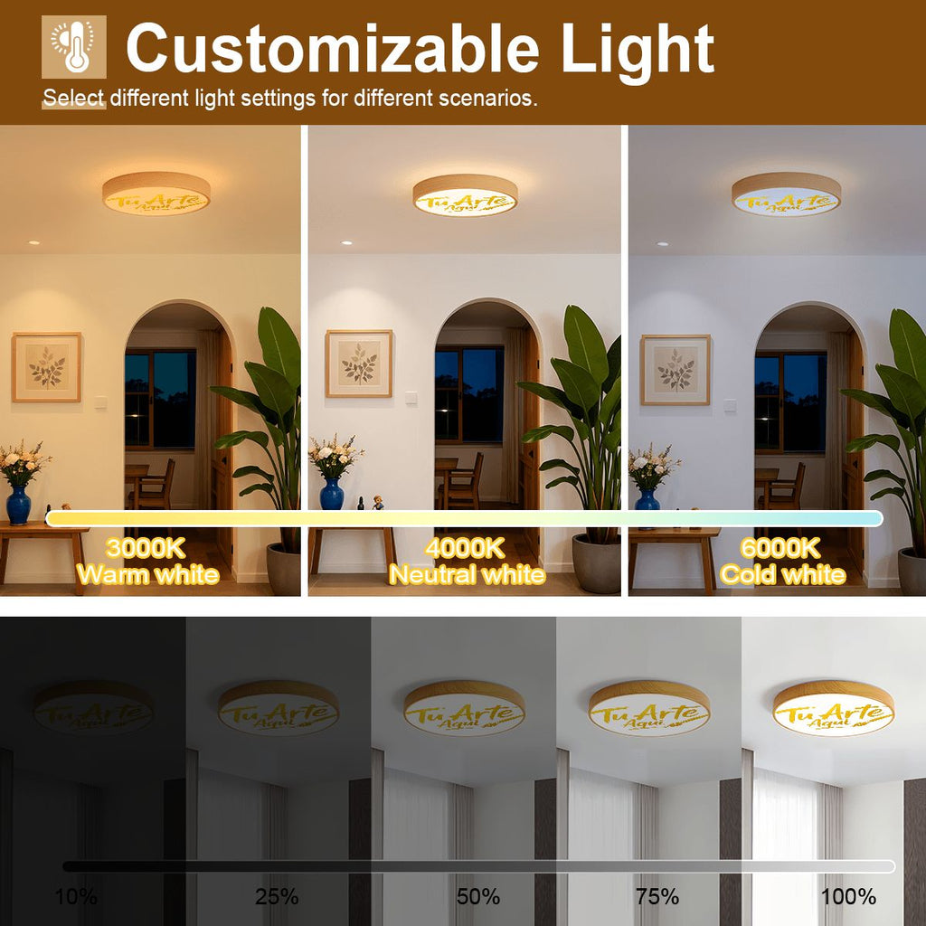 Flush Mount Ceiling Light