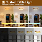 Flush Mount Ceiling Light