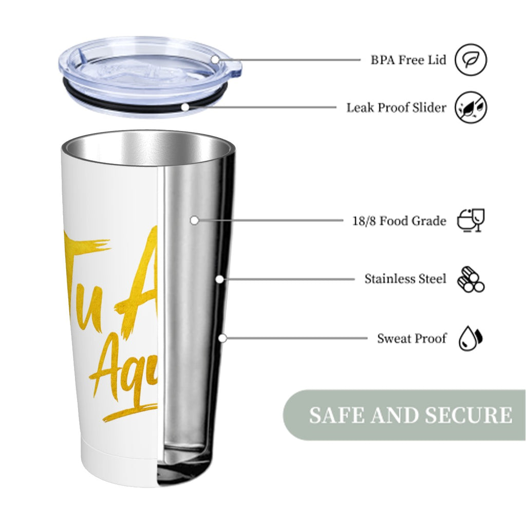 Stainless Steel Insulated Tumblers with Lid  Straw (20oz)