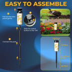 Outdoor Solar Lights