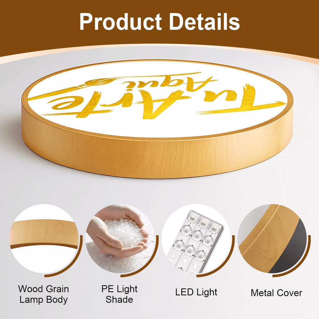 Flush Mount Ceiling Light