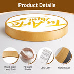 Flush Mount Ceiling Light